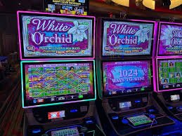 onbet88 Roulette Putaran Laju